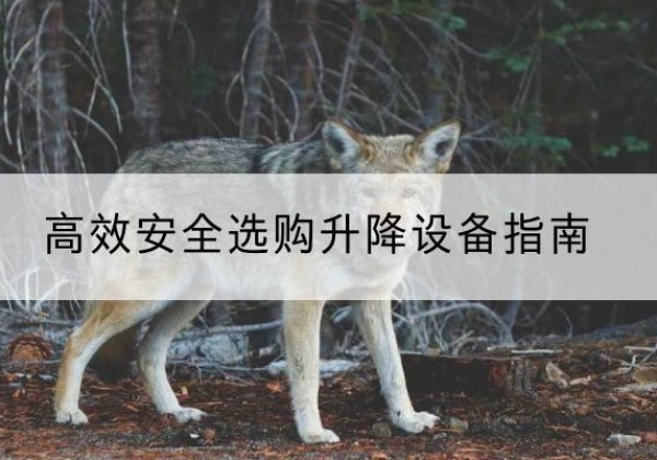 夹江升降货梯厂家推荐-*安全选购升降设备指南