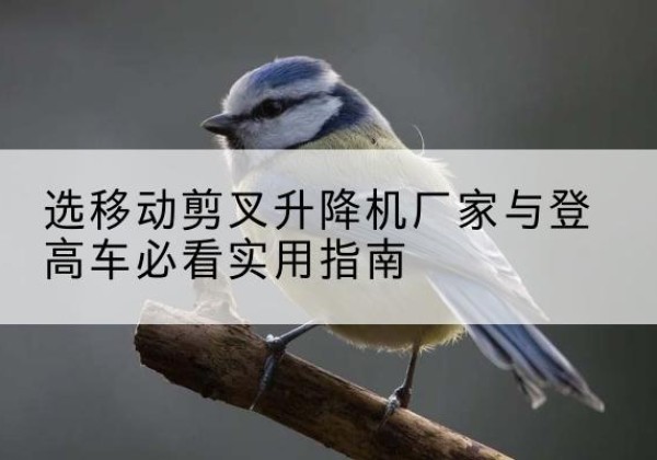 夹江电动升降机厂家-选移动剪叉升降机厂家与登高车必看实用指南